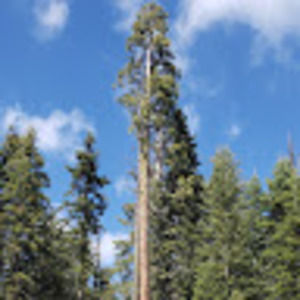 Meet your Posher, Shelsea